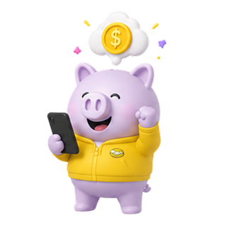 Chancho reintegros